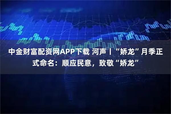 中金财富配资网APP下载 河声丨“娇龙”月季正式命名：顺应民意，致敬“娇龙”